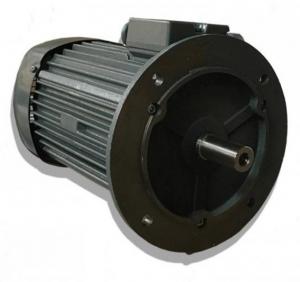 MOTEUR ELECTRIQUE WE1R 100 LX4 3/4 B5 VEM-XNW