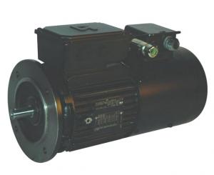 Moteurs électriques à bride