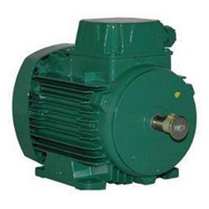 Moteurs électriques à pattes