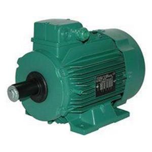 Moteurs électriques à pattes