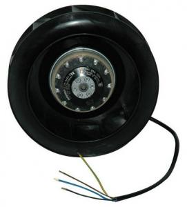 Moto Turbines