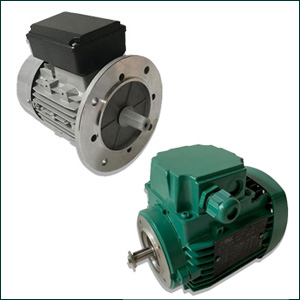 Moteurs électriques à bride